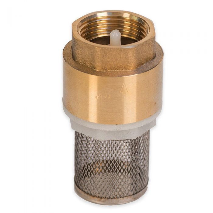 HydroSure Foot Valve with Filter - 1" BSP Female