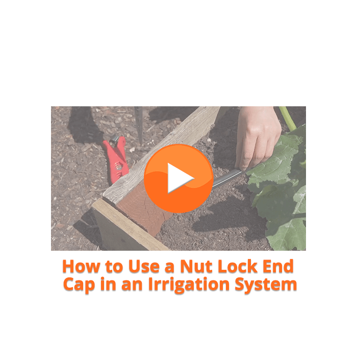 HydroSure Nut Lock End Plug - 18mm