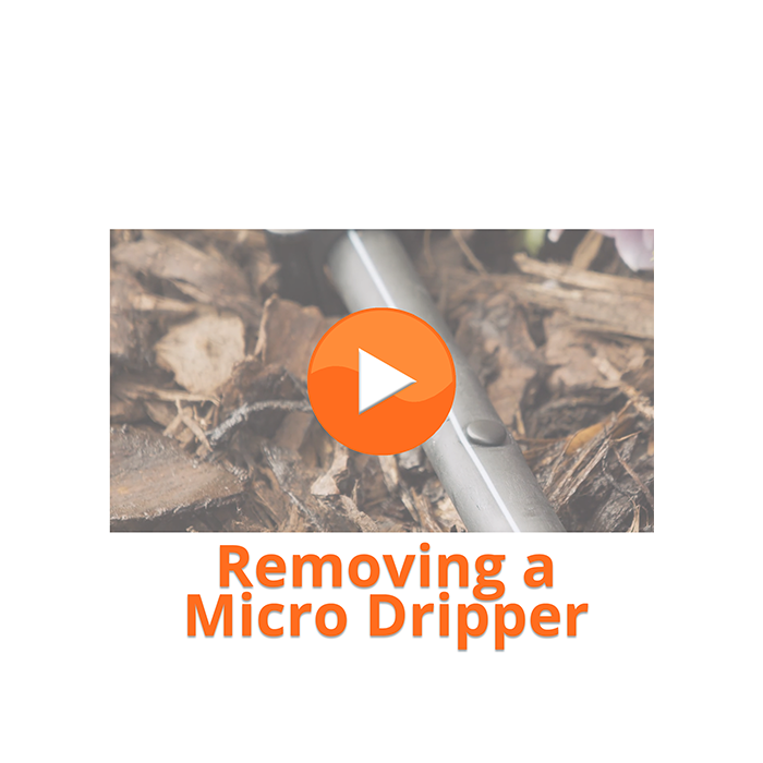 HydroSure Self Piercing Micro Irrigation Dripper - 4 LPH - Pack of 100