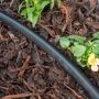 HydroSure Ultimate 50 Pot Drip Irrigation System. Complete with 50m of LDPE pipe to take water to pots & planters that require watering.