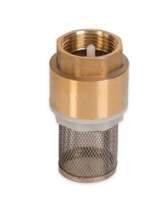 HydroSure Foot Valve with Filter - 1&quot; BSP Female