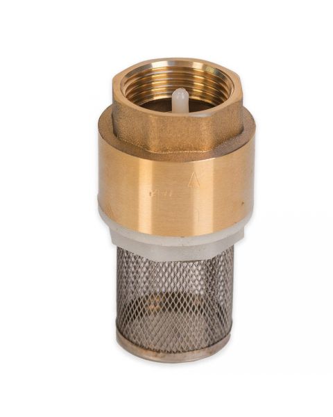 HydroSure Foot Valve with Filter - 1&quot; BSP Female